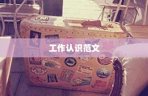 工作认识范文