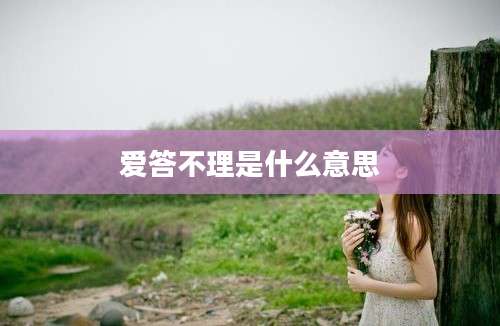 爱答不理是什么意思