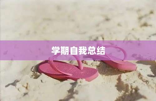 学期自我总结