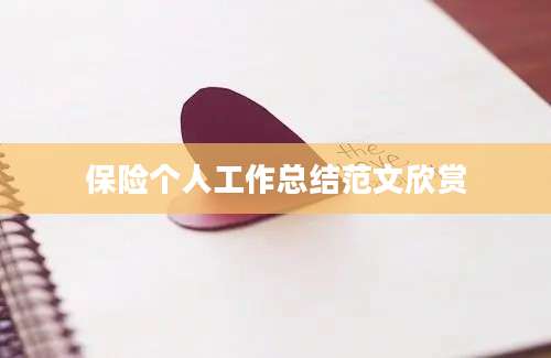 保险个人工作总结范文欣赏