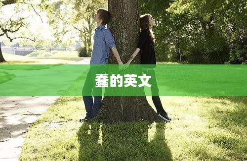 蠢的英文