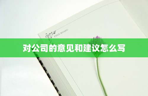 对公司的意见和建议怎么写