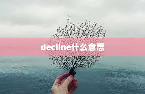 decline什么意思