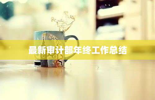 最新审计部年终工作总结