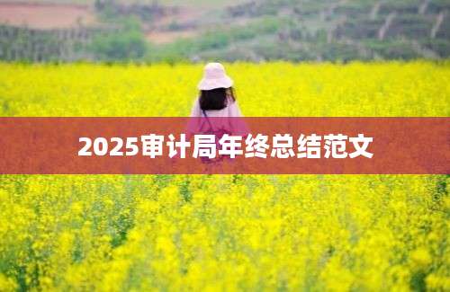 2025审计局年终总结范文