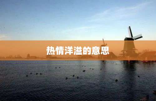 热情洋溢的意思