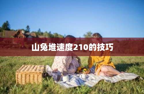 山兔堆速度210的技巧