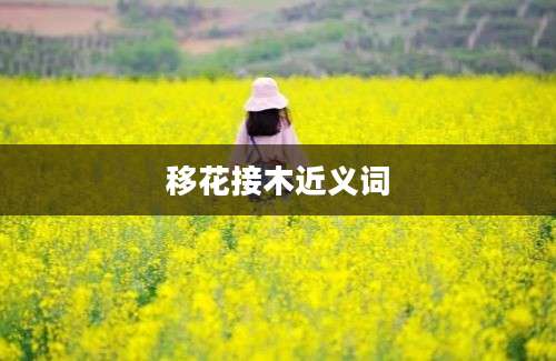 移花接木近义词