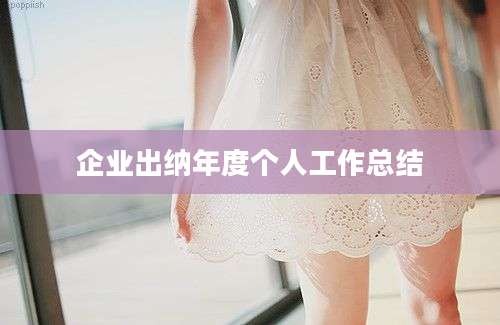 企业出纳年度个人工作总结