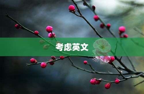 考虑英文