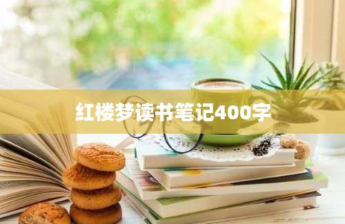 红楼梦读书笔记400字
