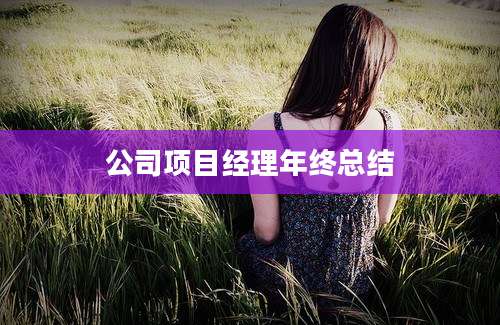 公司项目经理年终总结