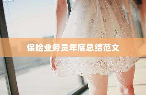 保险业务员年底总结范文