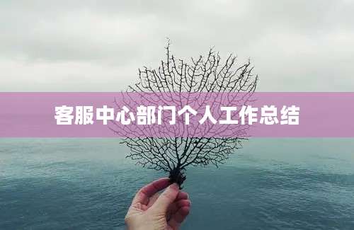 客服中心部门个人工作总结