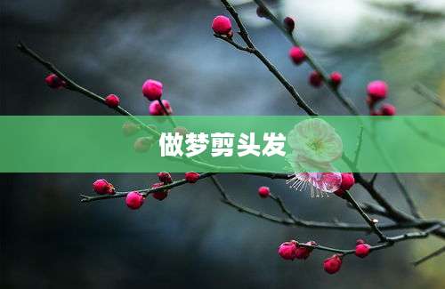 做梦剪头发