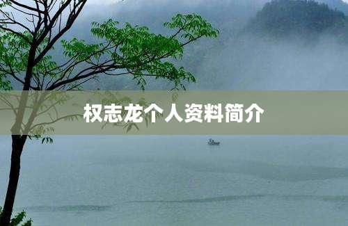 权志龙个人资料简介