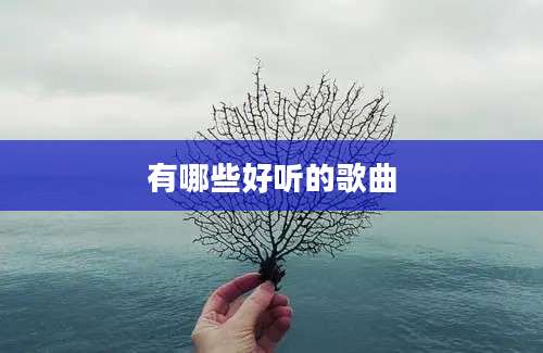 有哪些好听的歌曲