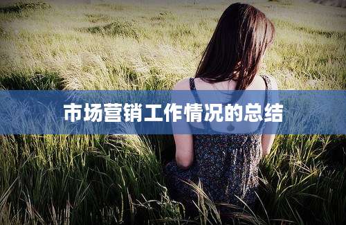市场营销工作情况的总结
