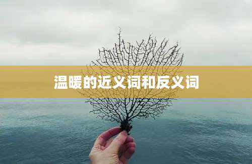 温暖的近义词和反义词