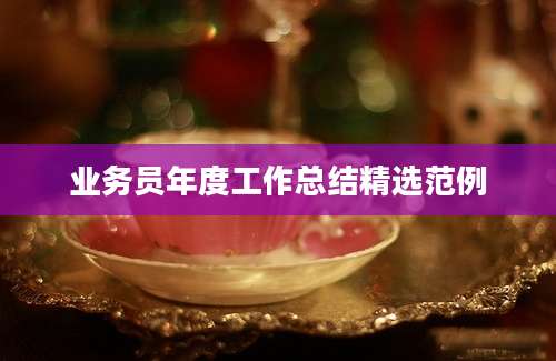 业务员年度工作总结精选范例