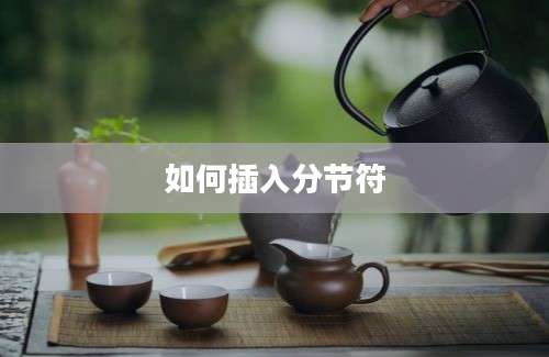 如何插入分节符