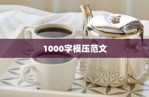 1000字模压范文