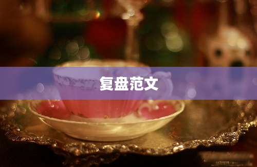 复盘范文
