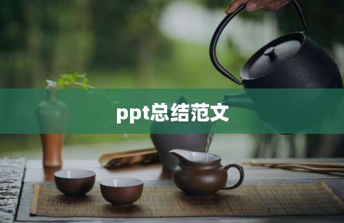 ppt总结范文