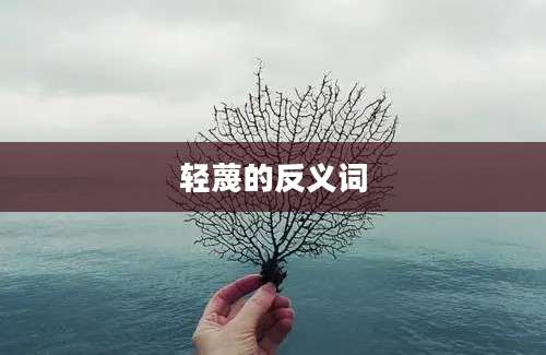 轻蔑的反义词