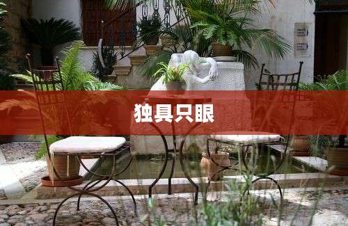 独具只眼