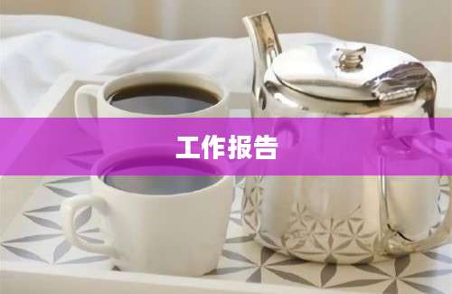 工作报告