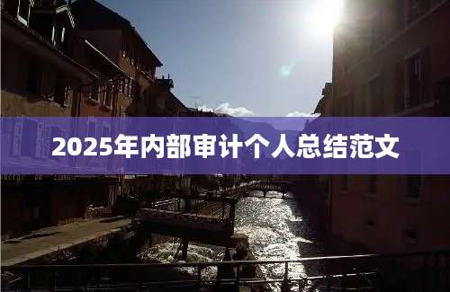 2025年内部审计个人总结范文