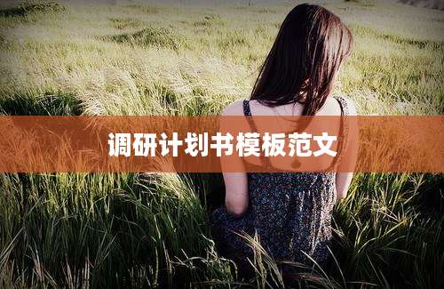 调研计划书模板范文