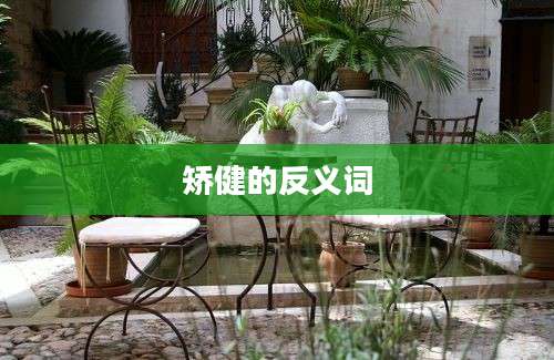 矫健的反义词