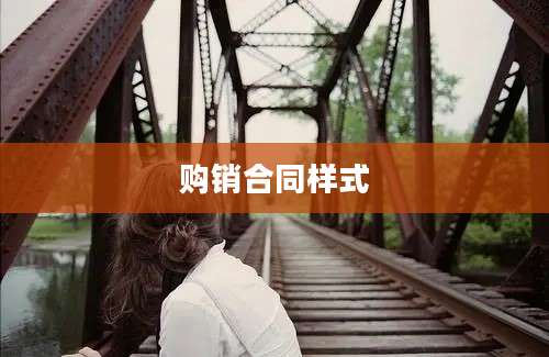 购销合同样式