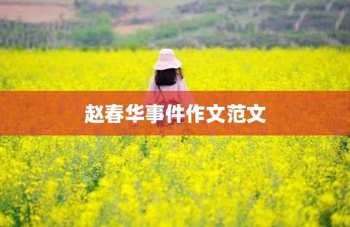 赵春华事件作文范文