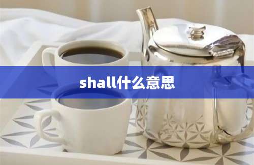 shall什么意思