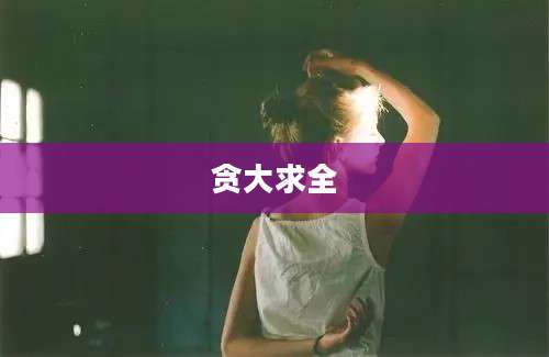 贪大求全
