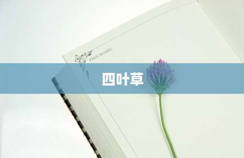 四叶草