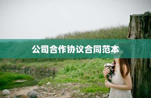 公司合作协议合同范本