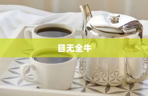 目无全牛
